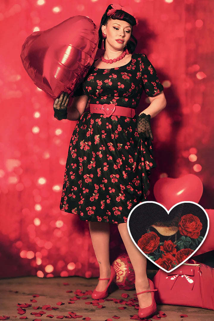 Dolly and Dotty Brenda Black Rose Bird Print Retro Dress